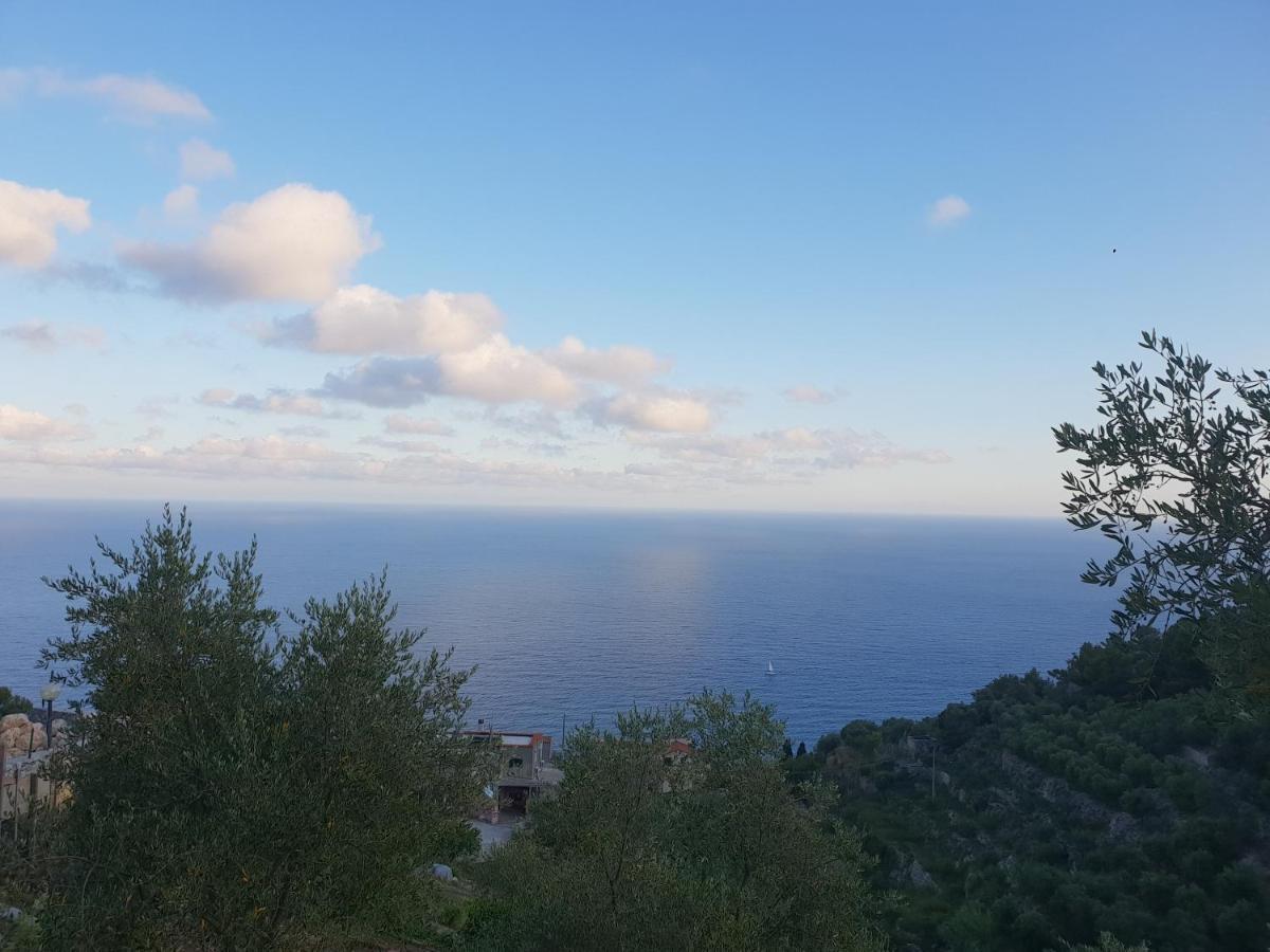 مبيت وإفطار Magliolo Casa Vacanze L'Agrifoglio المظهر الخارجي الصورة